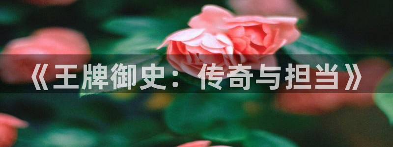 叮当网漫画大全羞羞漫画在线观看：《王牌御史：传奇与担当》