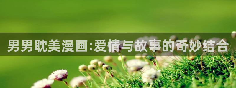 羞羞漫画：男男耽美漫画:爱情与故事的奇妙结合