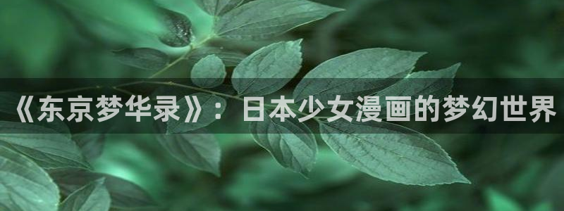 羞羞漫画汗汗漫画av漫画：《东京梦华录》：日本少女漫画的梦幻世界